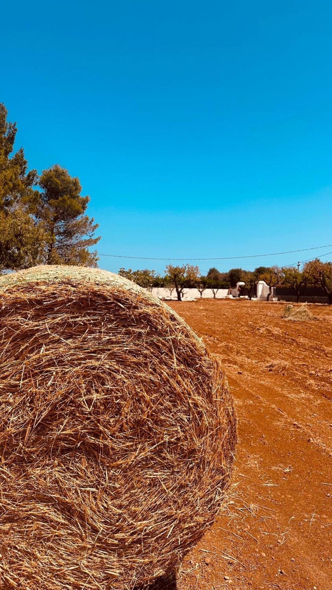 Ca Summa Agriresort Ostuni Εξωτερικό φωτογραφία