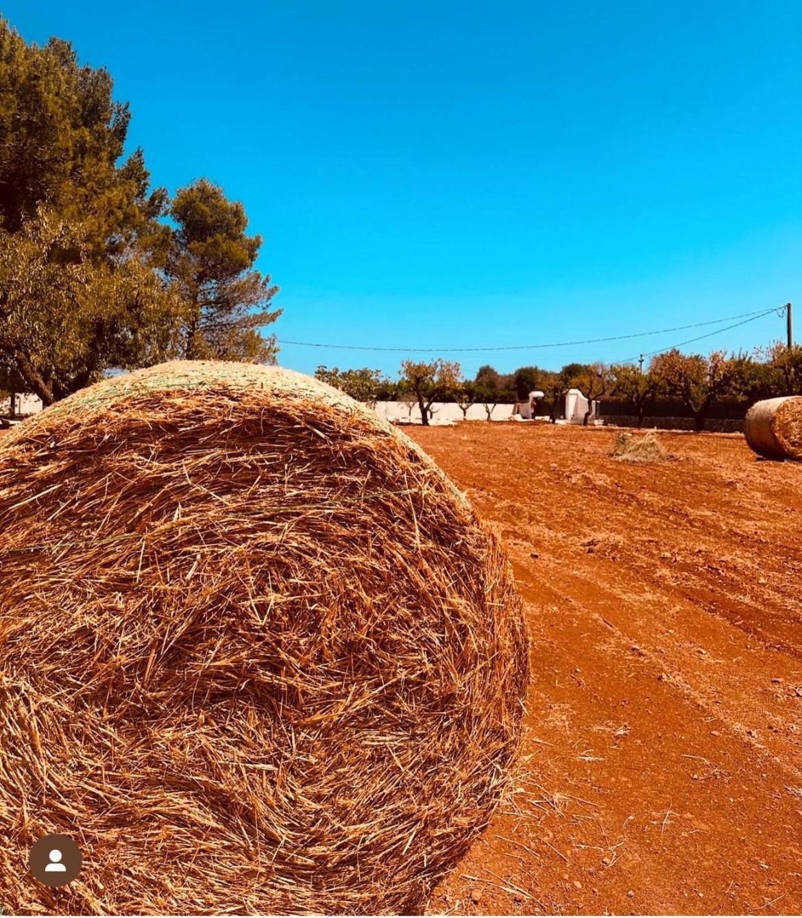 Ca Summa Agriresort Ostuni Εξωτερικό φωτογραφία